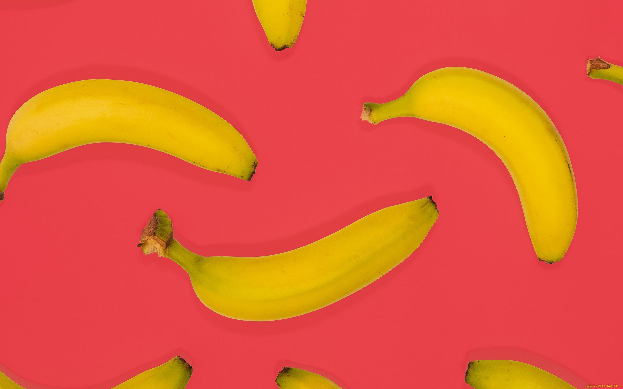 Daboii bananas